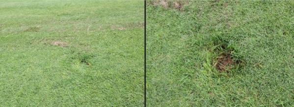 1949227467_uEkh0pXg_d47b5dbb42c8b564ab32