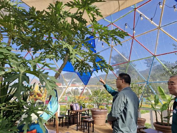 1994182814_bcm3DrdY_7bcd21ca3ea3bea98f98