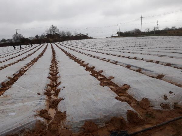 1994182814_4n9uQ1yg_b8f30688a43ecb23942d