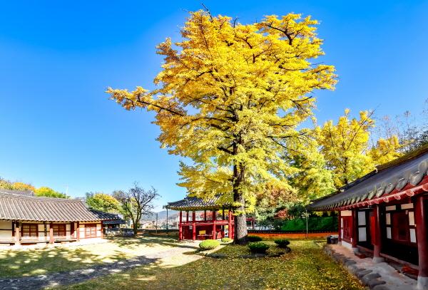 1994182814_BMwH8yta_2cbe189f351160e1884f