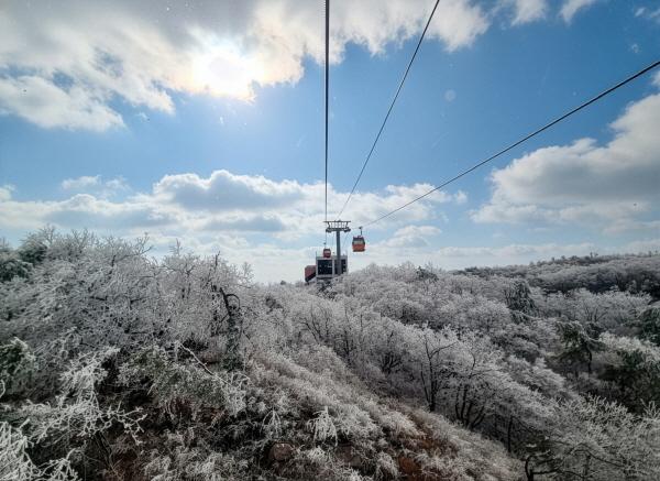 1994182814_BxvpZlMQ_dc9e8fbb1667c7918c00