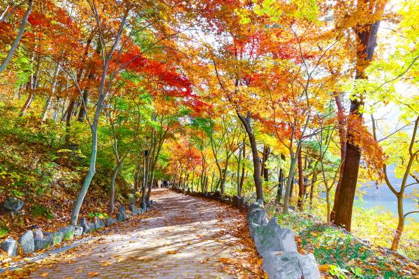 1994182814_Cgx63zna_d320777389eb8f1dd60c