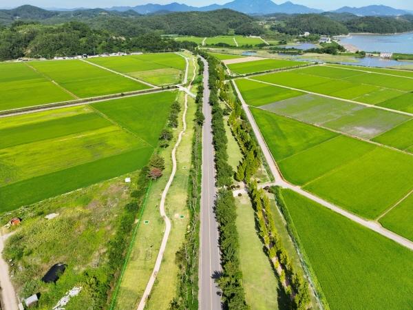 1994182814_OA3QX52z_aba63b9cb7381aaf10a9