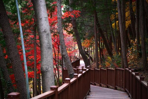 1994182814_ZNyCJWKS_eec7bd263c9c5aca7877