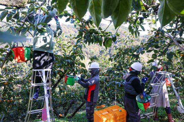 1994182814_eCdURlF1_312de6bc814658fecf74