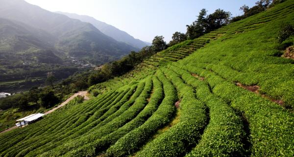 1994182814_8hJ2zt5u_0600c3550fcbf8aa3b1c