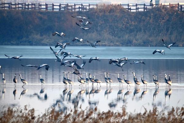 1994182814_F3Kkgpjq_b38b57acea70002e037c