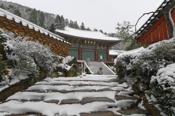 1994182814_dsHo5zEm_78d3b93c3920ebed1562