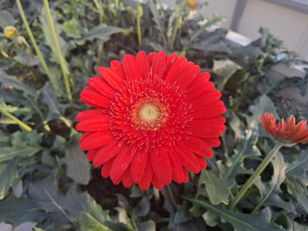 1994182814_ftgkaUP8_1ad7b4ceccdc88118f2c