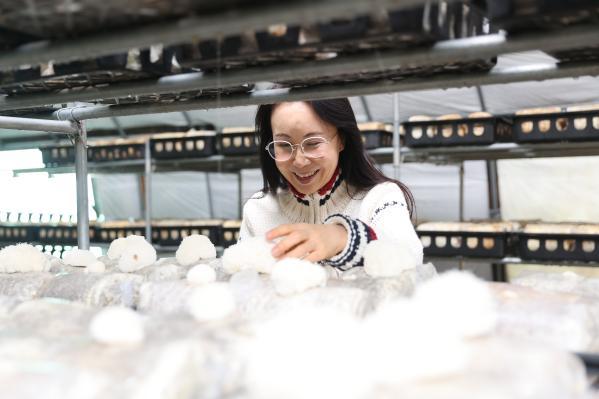 1994182814_jd2JZSay_a14c6707655303e342e7