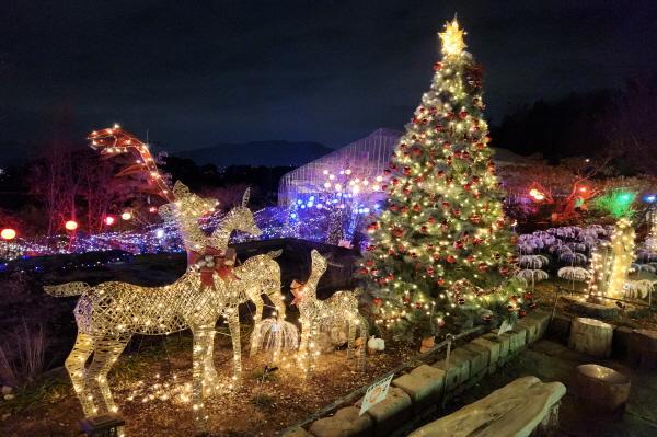 1994182814_jsbuHedX_3cd40ac8a4e2c18c0834