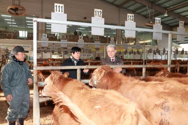 1994182814_PFnMNsm5_fea2db883e96cfc7d10d