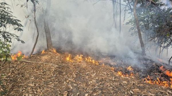 1994182814_RK1VkGY4_e5889f7268dd7d85b6b1