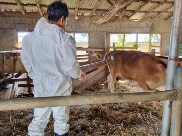 1994182814_WxRNG6Sk_d13362c2611df255dd73