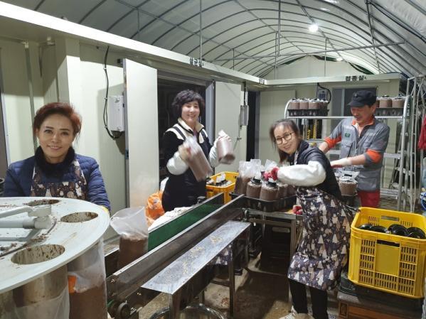 1994182814_3FdlPQzi_9bc2fb423043bd128661