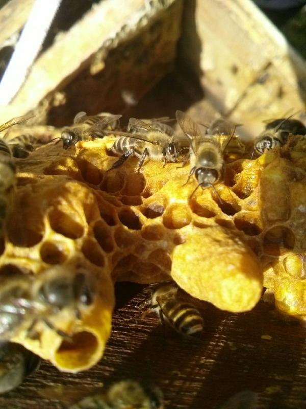 1994182814_5auLjJO7_2e98dbcd584d2c26bc83