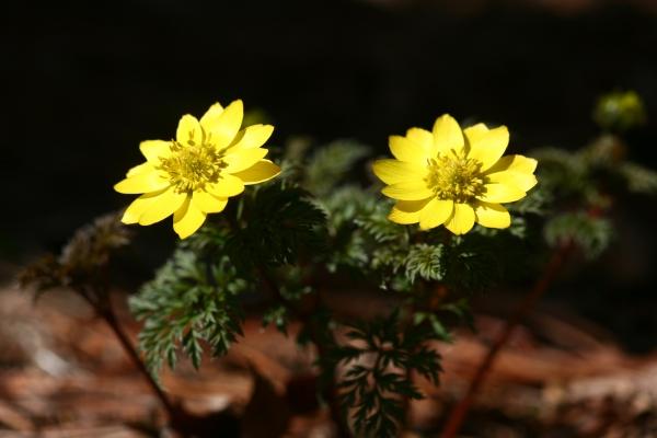 1994182814_DqLRgkHs_0f7f10c4fa3990d9bbef