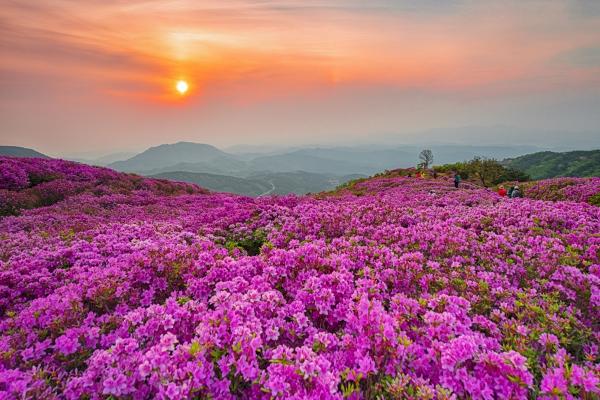 1994182814_MjvTkcsD_1f5f08233fdbc7860040