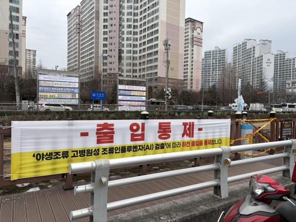 1994182814_gnjxLAVl_5959b1cb7e06756b3cd6