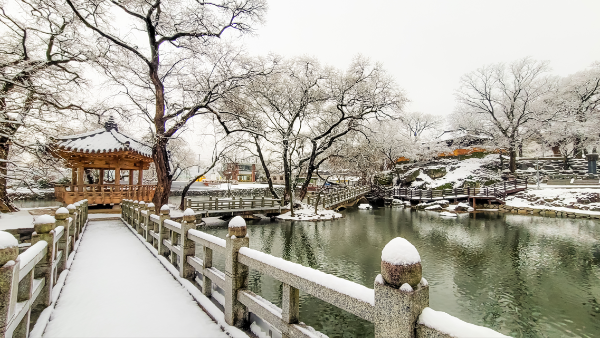 1994182814_jCVJPTap_0308a655b9d05beaef1f