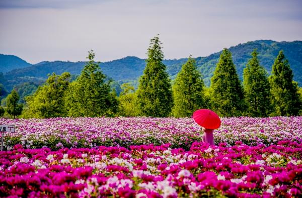 1994182814_oZyStwku_160fe98c14bb80f57d7d