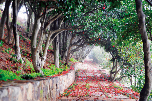 1994182814_x20iE5To_a555e1d0213b0acf55a0