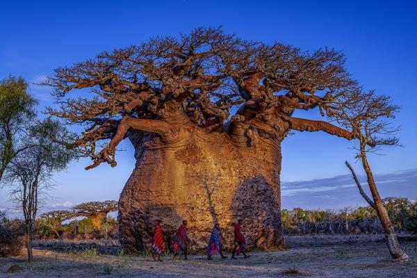 1994182814_ypUeBvVE_9c9acb9f2aba98e3a180