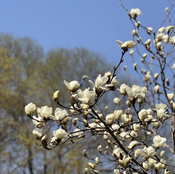 1994182814_FZuGX4pr_e5bfa0895aba50120c9c