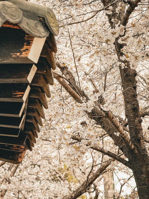 1994182814_HQuc4gOl_e6e0f67d1b2a363d1d24