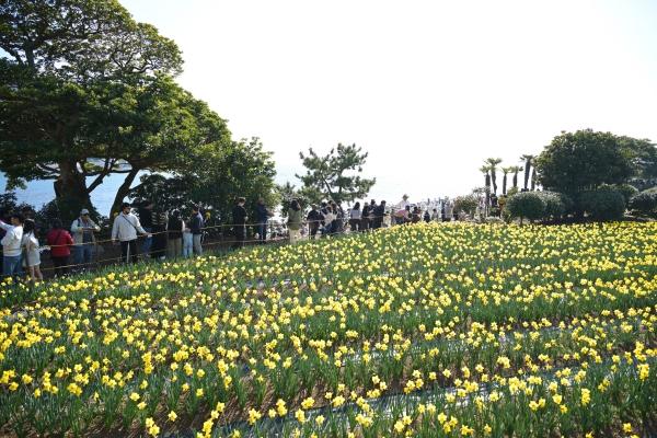 1994182814_J7jwEGdC_e7f75d3d3630fab6927c