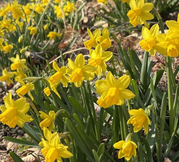 1994182814_NTVbDX6g_9ecb1c6444e3b8017f07