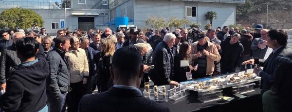 1994182814_SPbMsruD_d4feb396bb632a1190f7