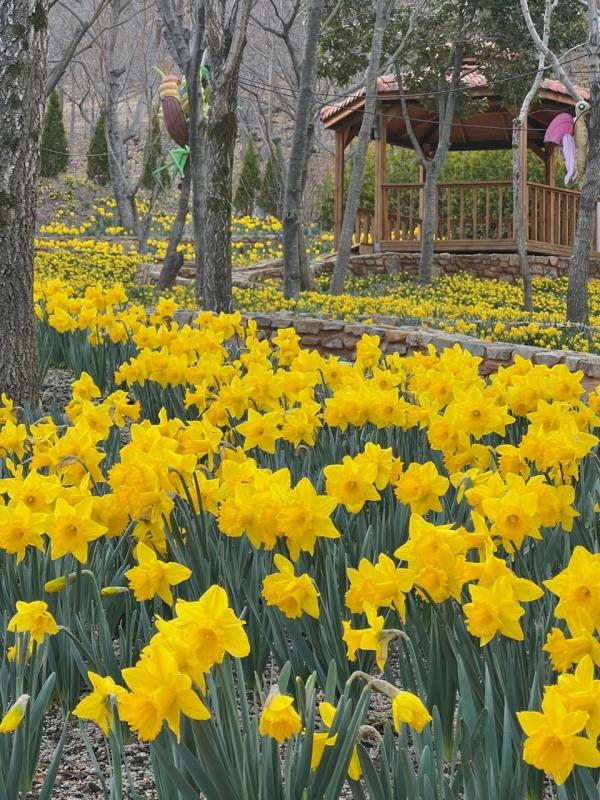 1994182814_UlSIkxP5_3ffa6ea730ff6b23b1f6