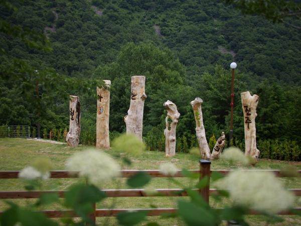 1994182814_ZnoNTDE1_7f31d604975cdbae4d06