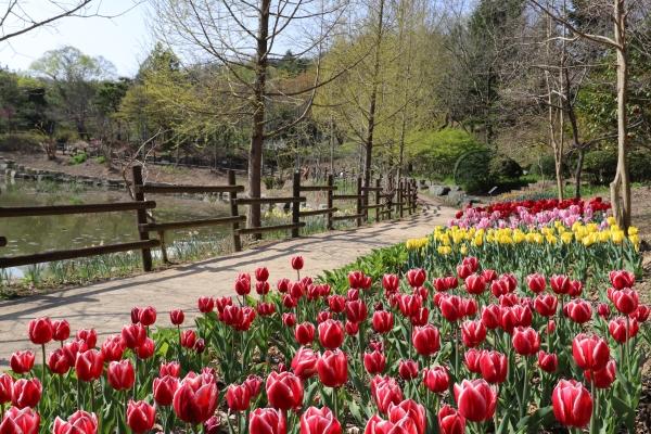 1994182814_f8pwR6vo_fc43114ac0017a7c7586