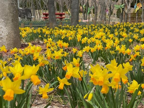 1994182814_nzTE049V_bd866803cea259e92208