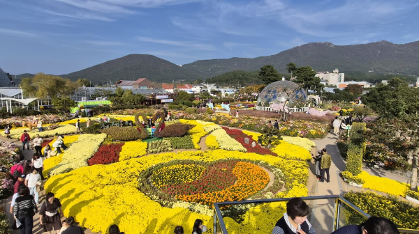 1994182814_qC7LzKXd_749f6c3026cb9cb17e65