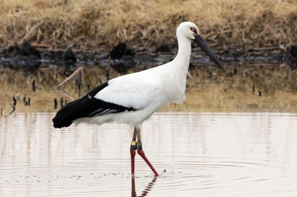 1994182814_sog7UvDl_0a57b0b1aa7a709073df