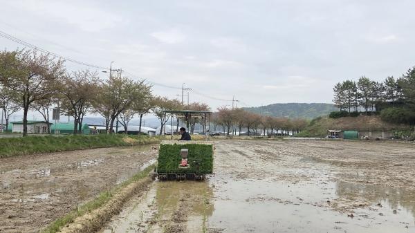 1994182814_4AoeKZ1k_f455104acf67bb606539