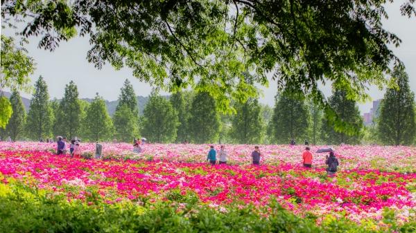 1994182814_A6CpTmvu_0d839e4e800a5a5a2ea8