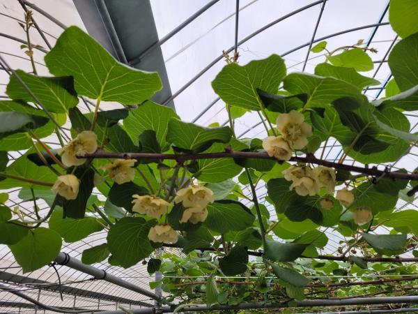 1994182814_BpJORkFx_10ce5e62e8079d96bc38