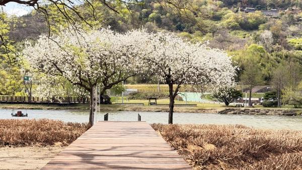 1994182814_CENS9dpl_a86dff5b492a66fb6aa5