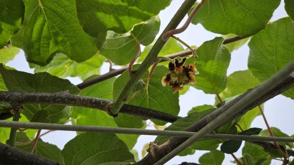 1994182814_ECeFmtP2_cfc1309baaeb6900df0d