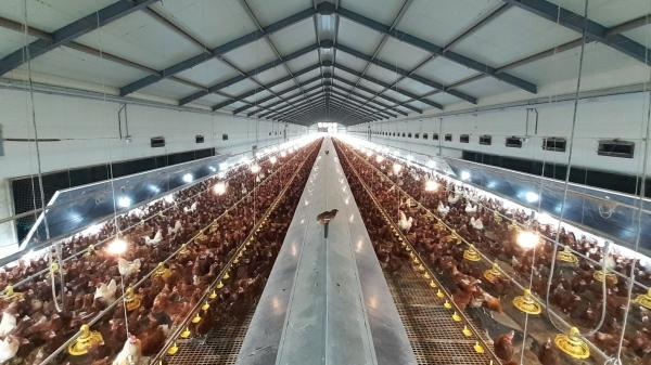 1994182814_F2SnBAml_44e626ba6c1e9e1d000d