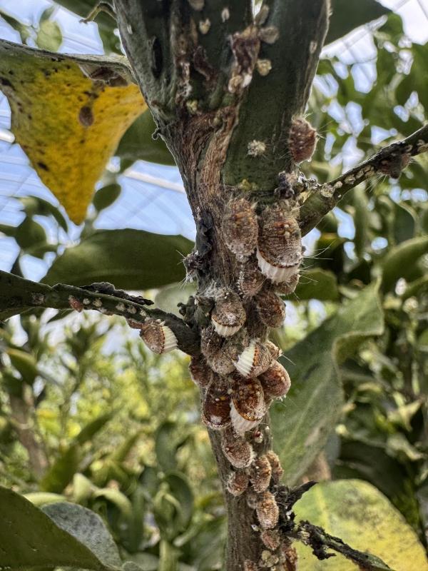 1994182814_Tl0APCe8_9338bd3ee85674c72f0b