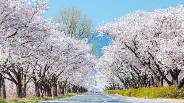 1994182814_aZpNBAve_5355c922c357177156c4