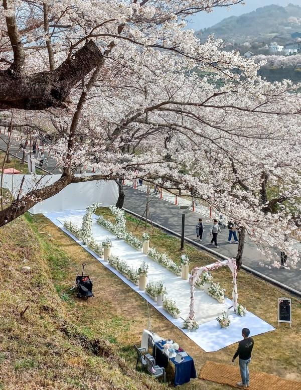 1994182814_ayVkYEj1_8d8b3ecc84e3432d951d