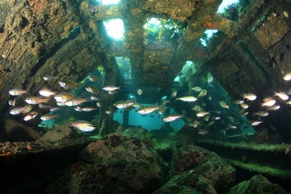 1994182814_c2vyfLNw_0042600746f46b699f16