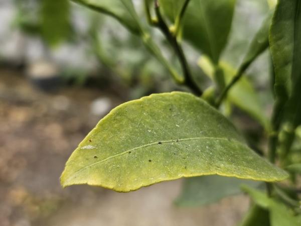 1994182814_c80DGMtb_8376a077dc5cadb92d3b