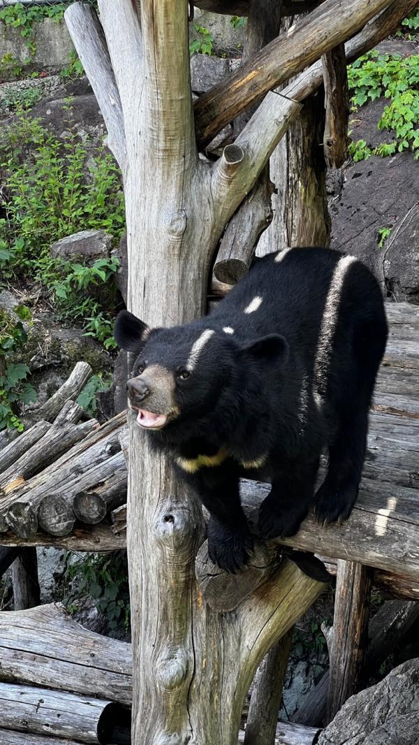 1994182814_dOFEPTNU_dd2bc3991ca0144fb4cb